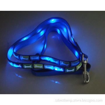 LED Dog Collars and Leashes